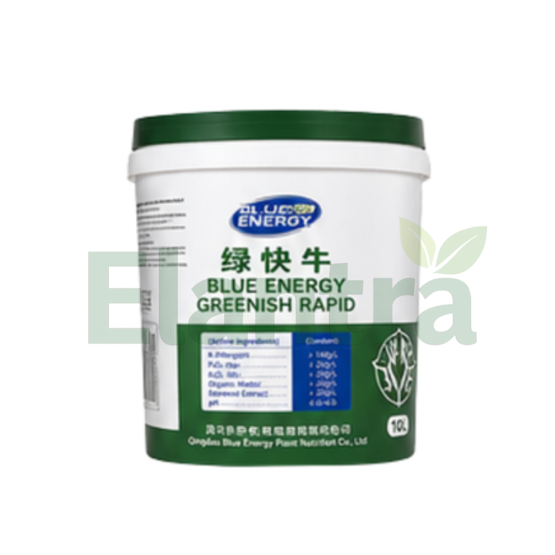 BLUE ENERGY GREENISH RAPID
